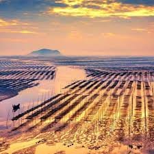 ซินดี้ สิรินยา avatar